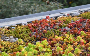 the cost of Ansty Coombe green roof installation