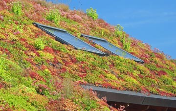 Ansty Coombe living roof systems