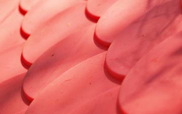 Ansty Coombe plastic roof costs