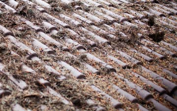 Ansty Coombe roof cleaning companies