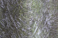 Ansty Coombe fibreglass roof work